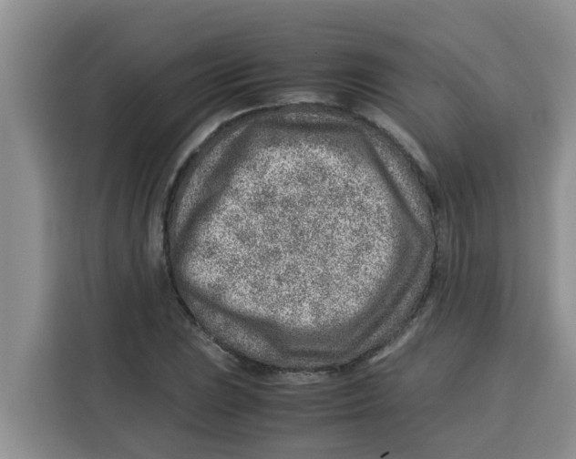 X0000115151023200911241524