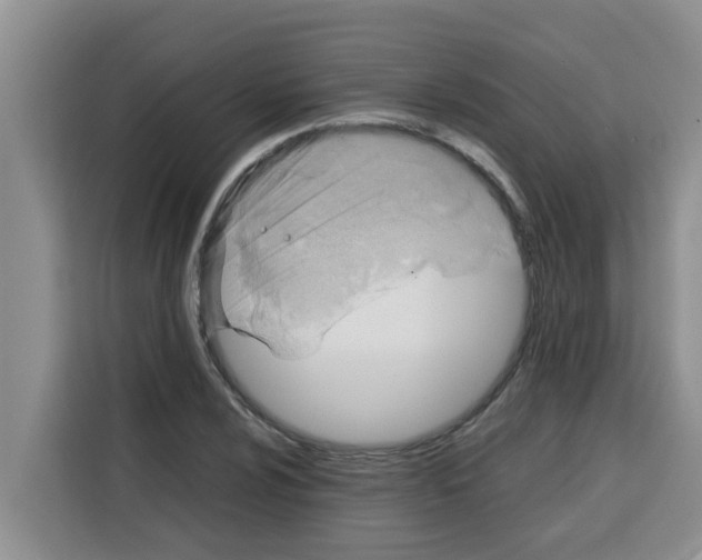 X0000115151024200911241524