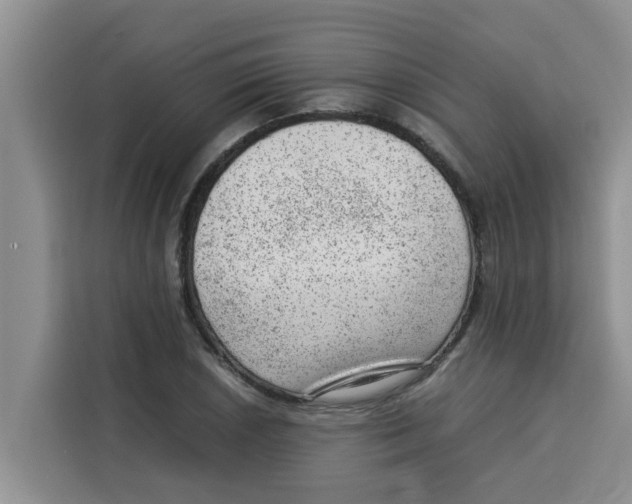 X0000115151026200911241524