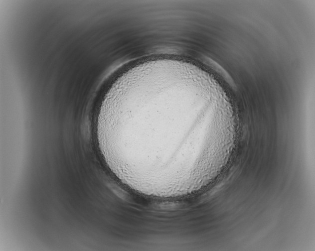 X0000115151027200911241524