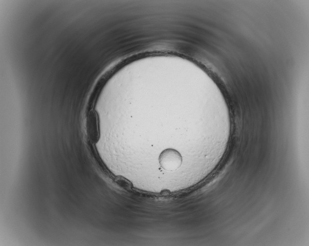 X0000115151029200911241524