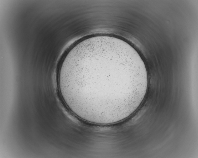 X0000115151030200911241524