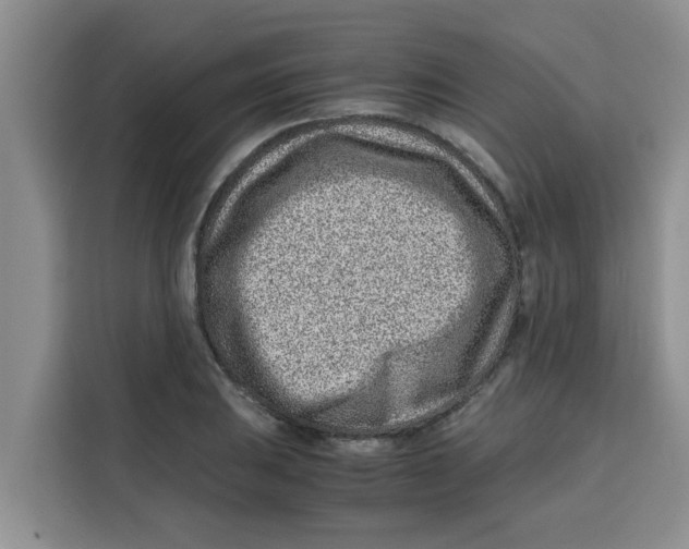 X0000115151031200911241525