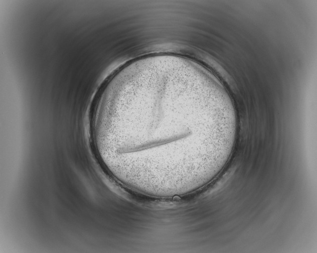 X0000115151034200911241525