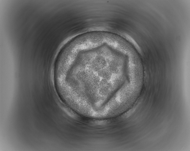 X0000115151035200911241525