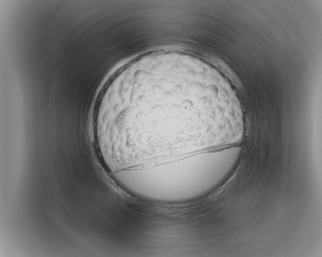 X0000115151036200911241525