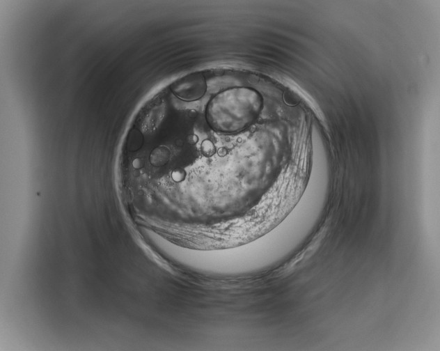 X0000115151037200911241525