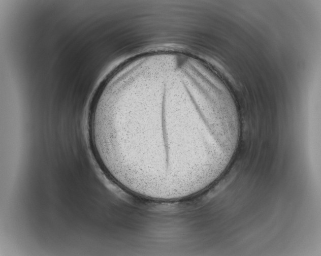 X0000115151038200911241525