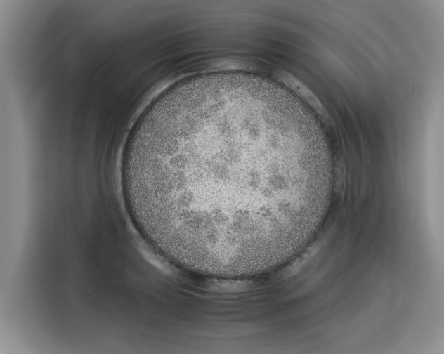 X0000115151039200911241525