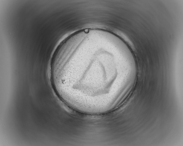 X0000115151040200911241525