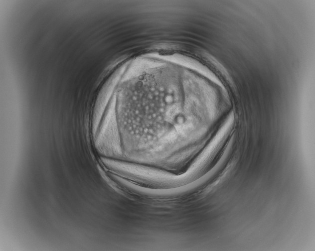 X0000115151041200911241525