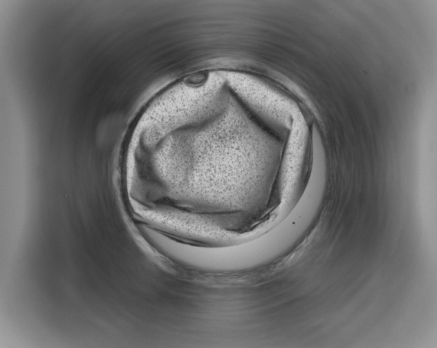 X0000115151042200911241525