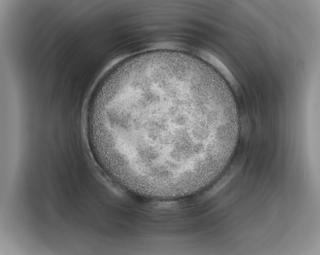 X0000115151043200911241525