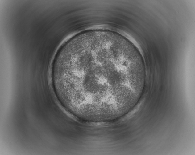 X0000115151045200911241525