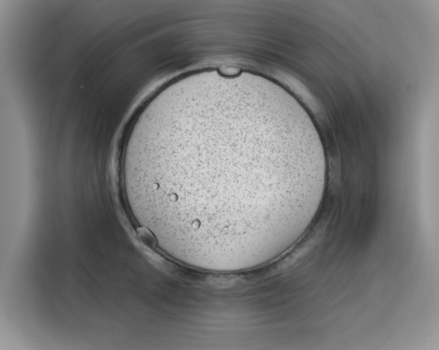 X0000115151046200911241525