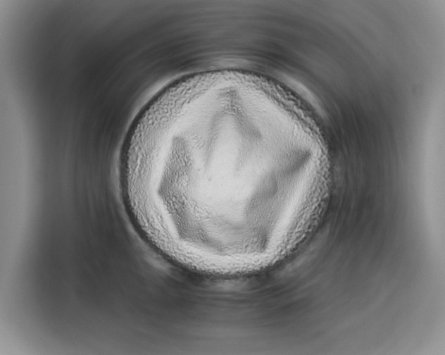 X0000115151047200911241525