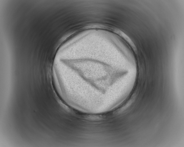 X0000115151049200911241525