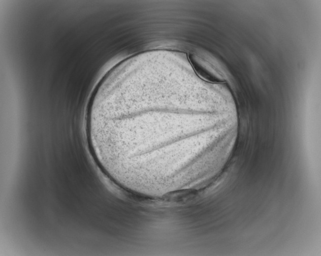 X0000115151050200911241525