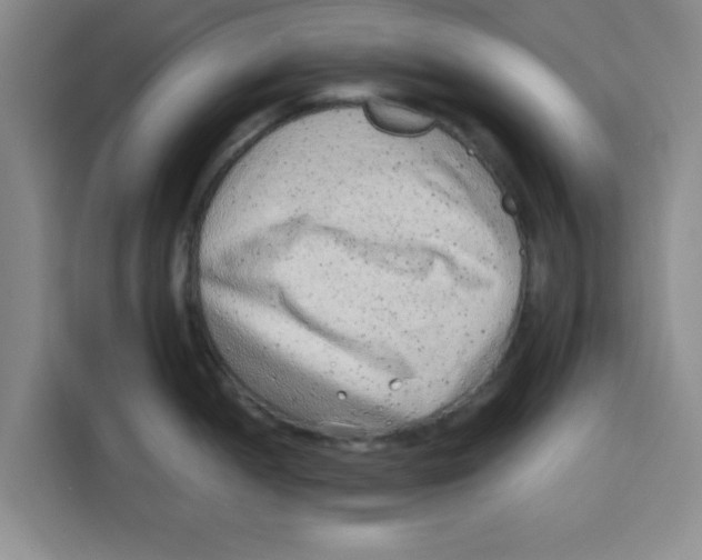 X0000115151052200911241525