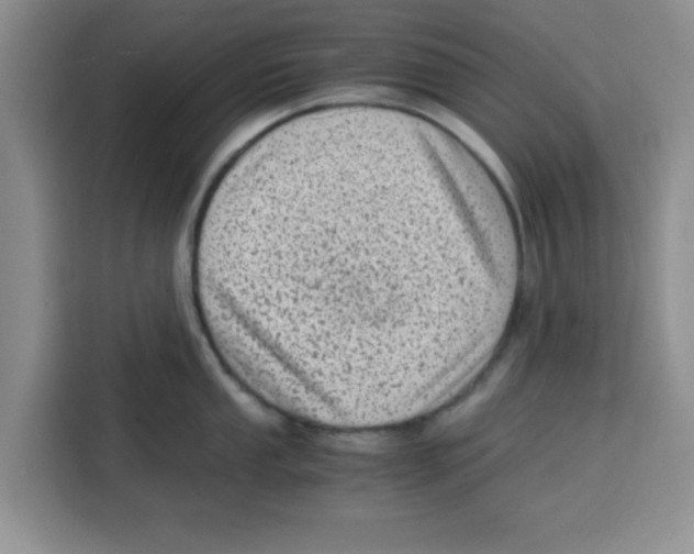 X0000115151053200911241525