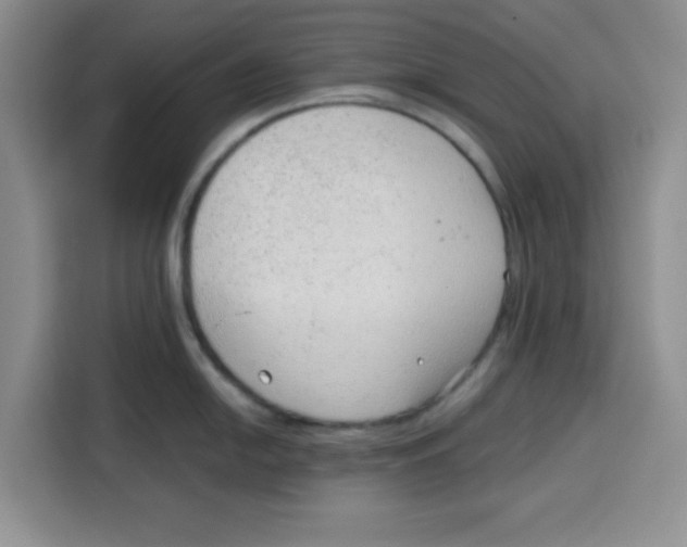 X0000115151054200911241525