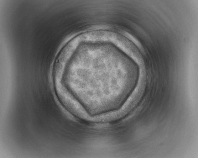 X0000115151055200911241525