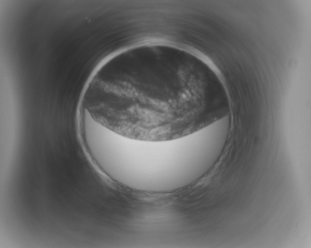 X0000115151056200911241525