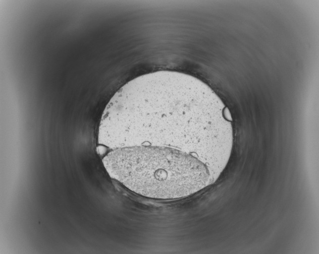 X0000115151058200911241524