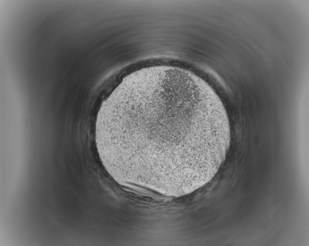 X0000115151064200911241524