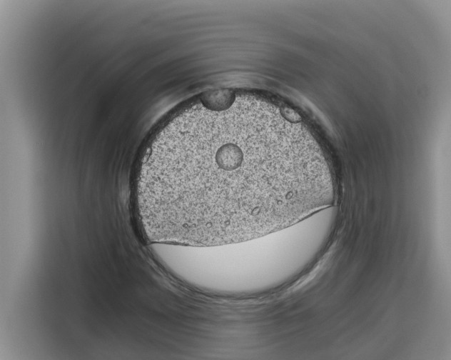 X0000115151065200911241524