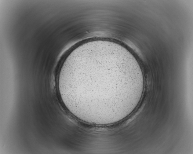 X0000115151070200911241524