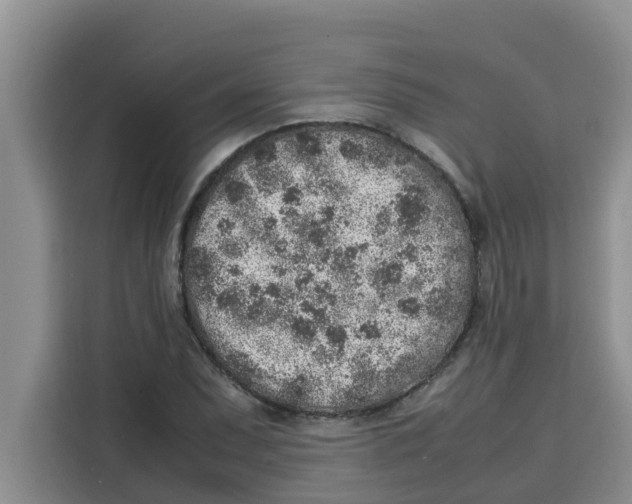 X0000115151071200911241524