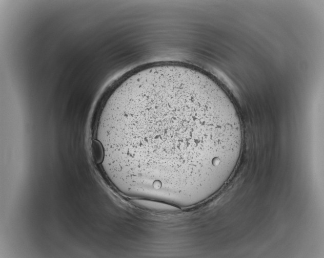 X0000115151072200911241524