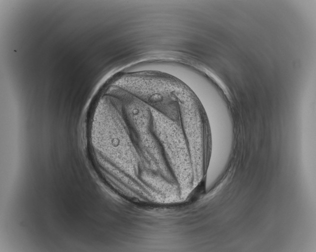 X0000115151075200911241524