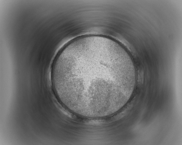 X0000115151078200911241524