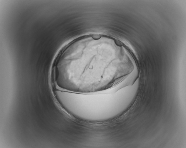 X0000115151080200911241524