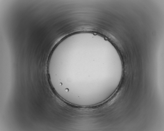 X0000115151081200911241524