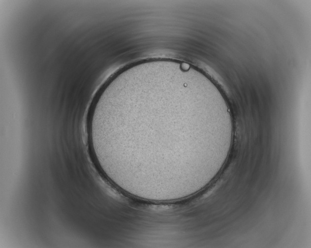 X0000115151082200911241524