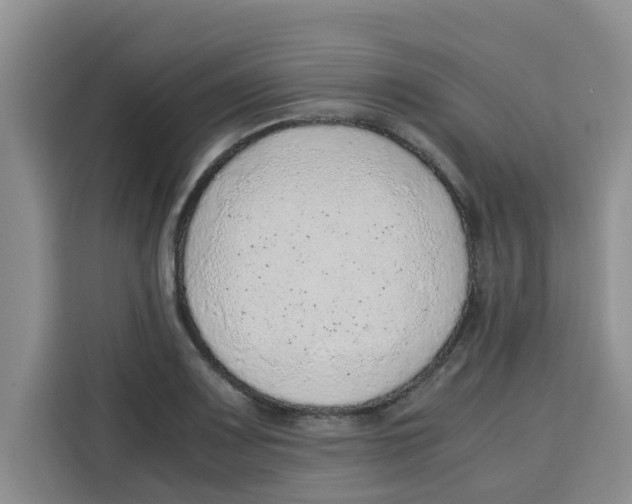 X0000115151083200911241524