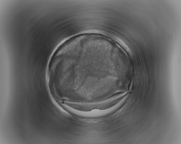 X0000115151084200911241524