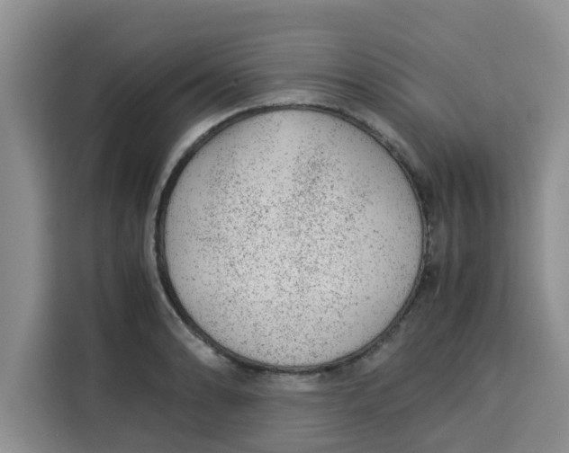 X0000115151086200911241524