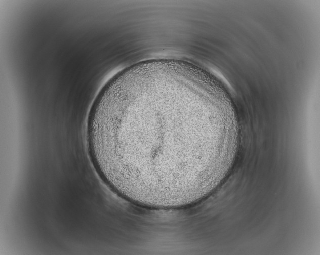 X0000115151087200911241524