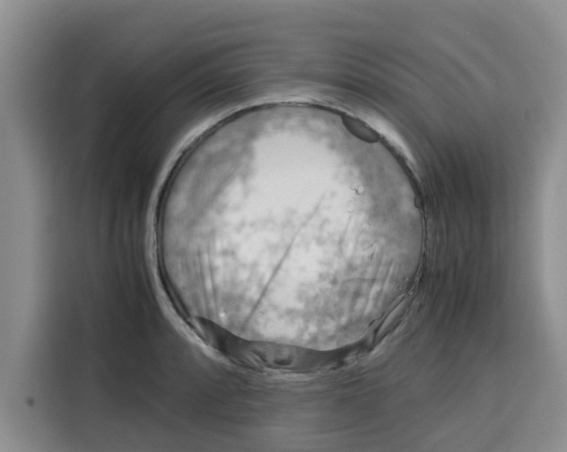 X0000115151088200911241524