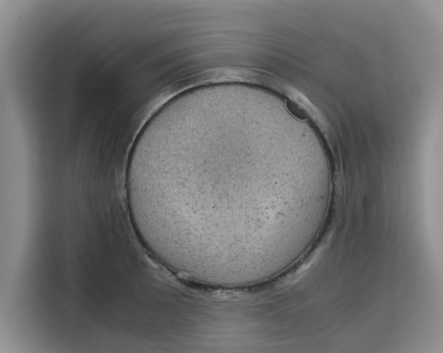 X0000115151089200911241524