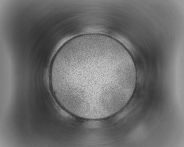 X0000115151094200911241524