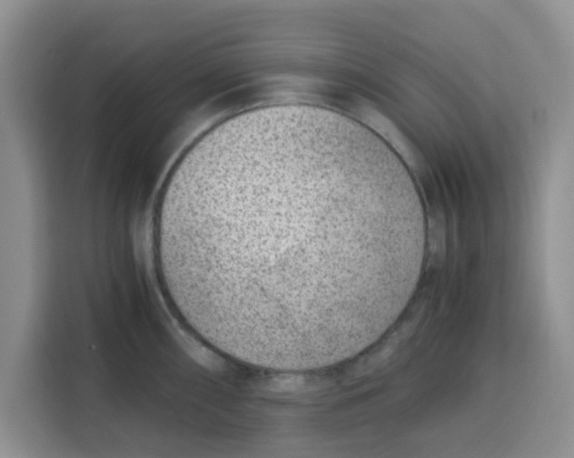 X0000115151098200911241524