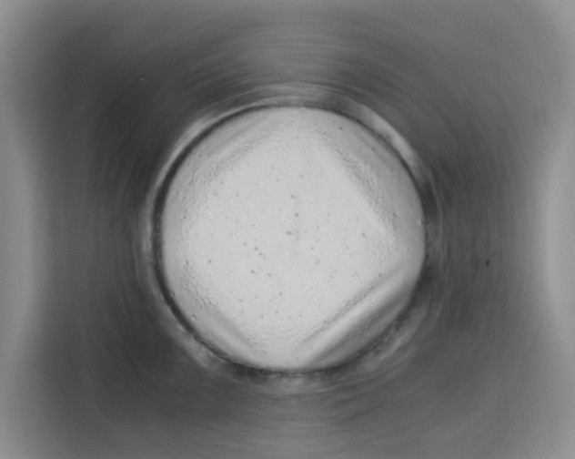 X0000115151099200911241524