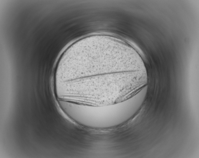 X0000115151100200911241524