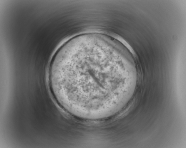 X0000115151101200911241524