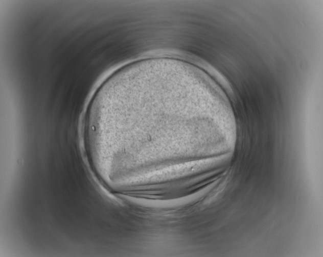 X0000115151102200911241524